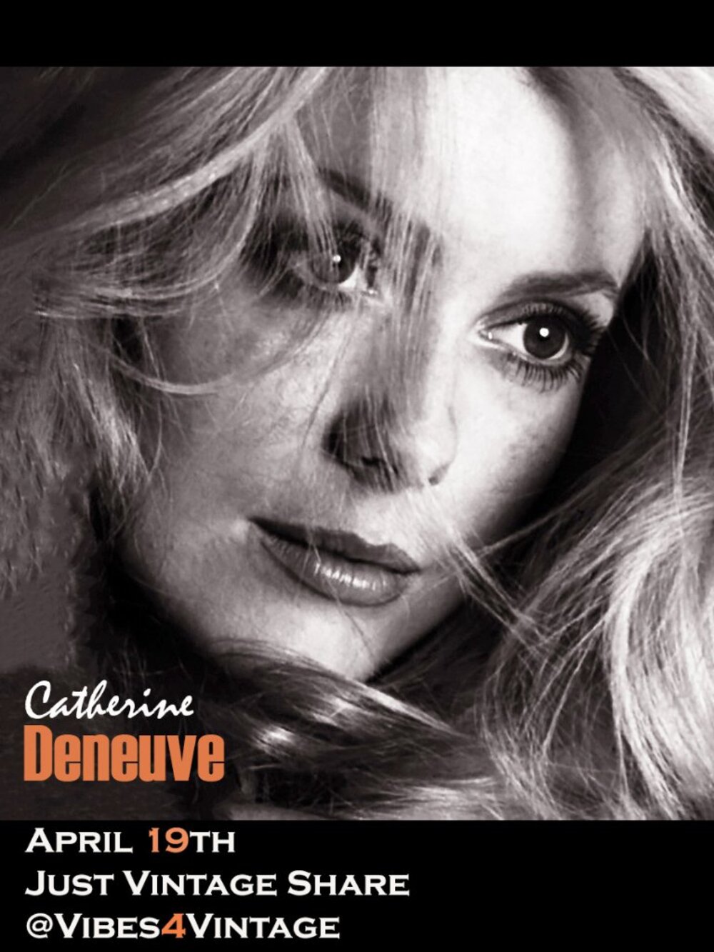 4-19 JUST VINTAGE SHARE